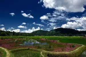 Seven Sister Tour Package