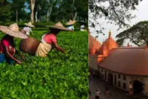 North East Tour Itinerary