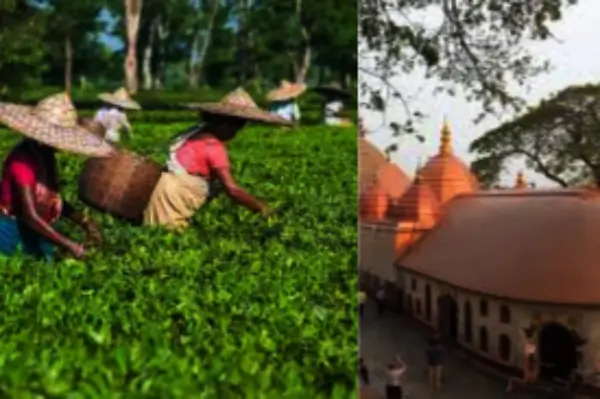 North East Tour Itinerary